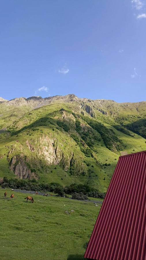 Mountain Flower Cottage Kazbegi Bagian luar foto
