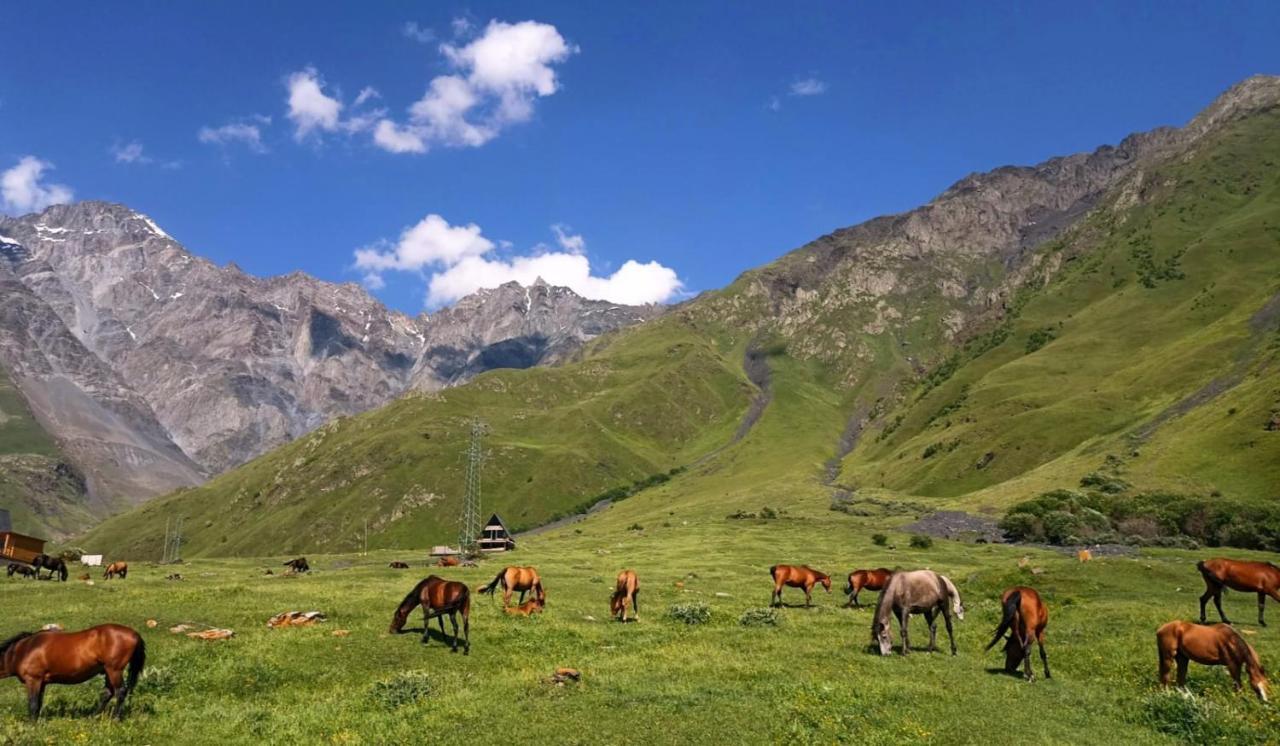 Mountain Flower Cottage Kazbegi Bagian luar foto